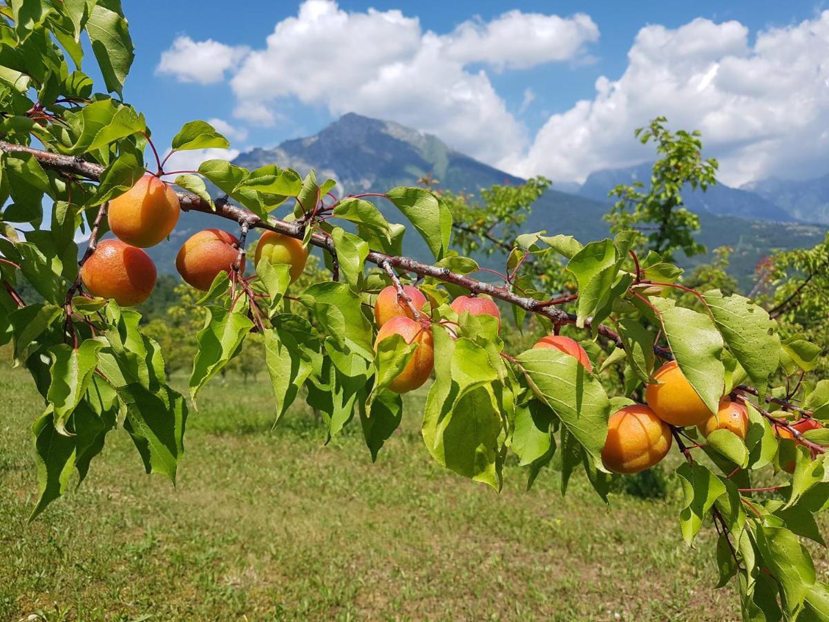 Agriturismo La Giasena 庞特内阿尔比 外观 照片