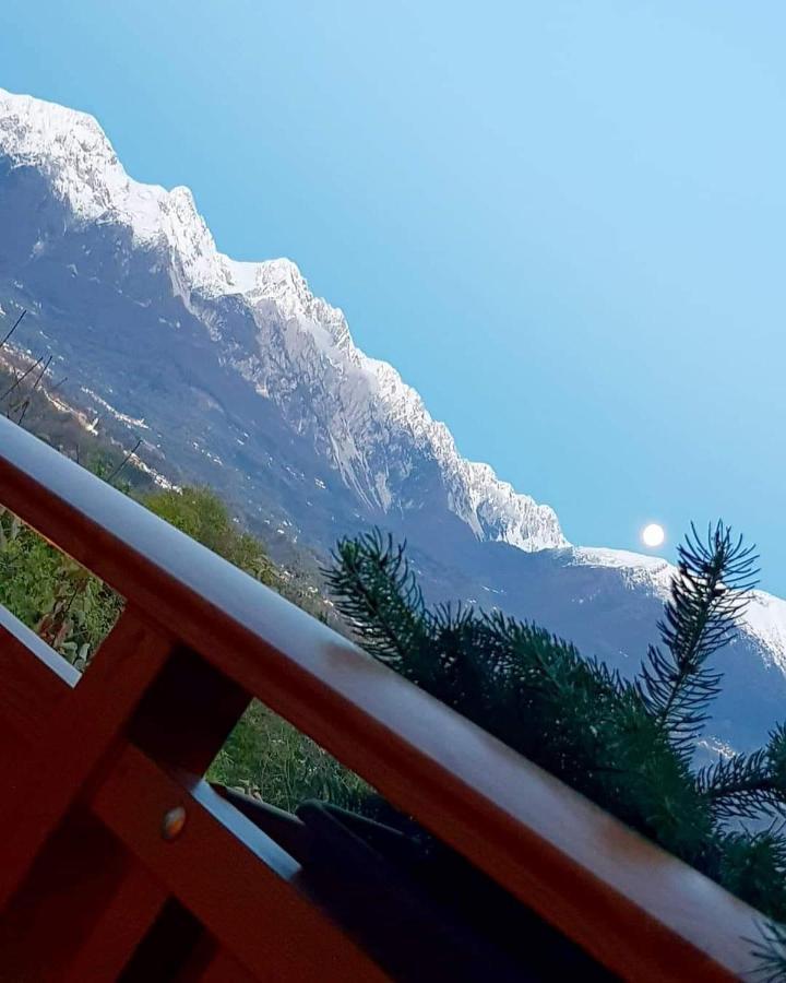 Agriturismo La Giasena 庞特内阿尔比 外观 照片