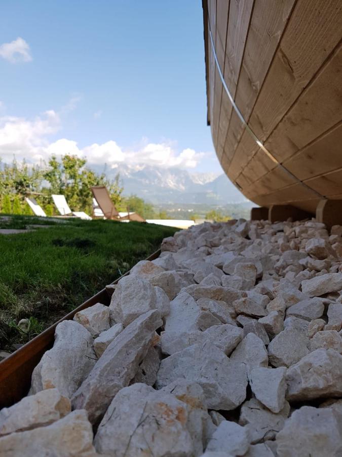 庞特内阿尔比Agriturismo La Giasena住宿加早餐旅馆 外观 照片