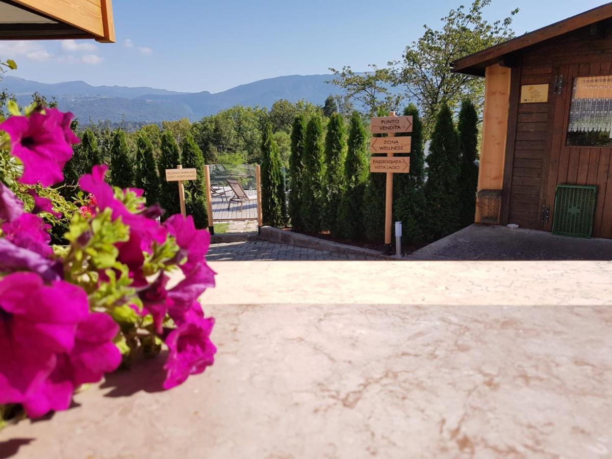 Agriturismo La Giasena 庞特内阿尔比 外观 照片